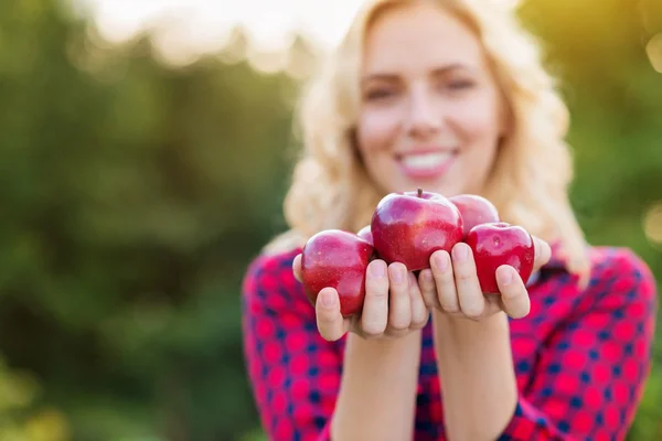 Hermosa mujer cosechando manzanas, comiéndolas —  Fotos de Stock