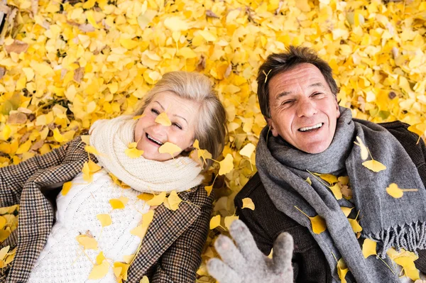 Active senior couple in autumn park lying on the ground — Stock Photo, Image