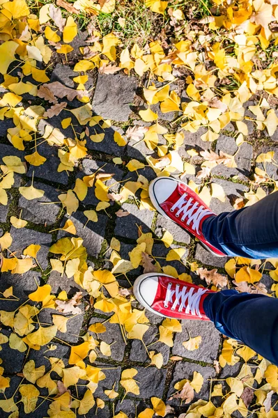 Gambe di persona irriconoscibile in stivali invernali. Autunno colorato l — Foto Stock