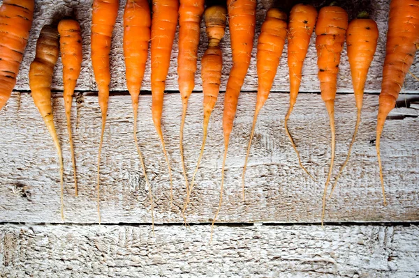 Свежая морковь на столе — стоковое фото