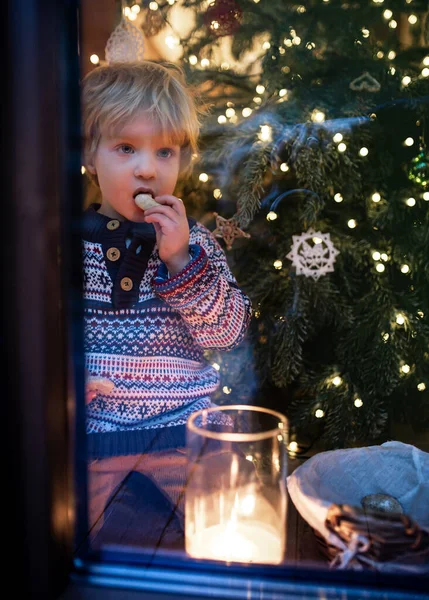 Portrait of small boy indoors at home at Christmas, eating by window at night. — Stock Photo, Image