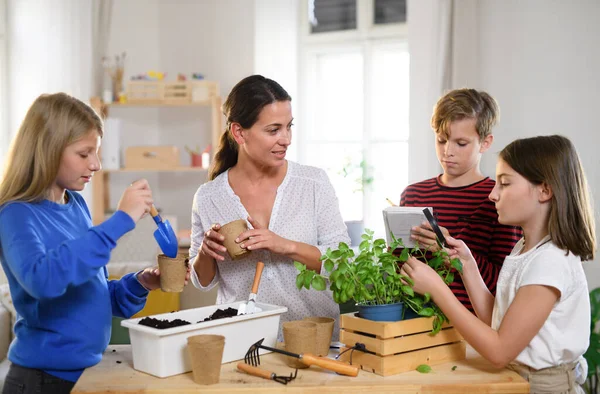 Gruppe von Hausschulkindern mit Lehrerin pflanzt Kräuter im Haus, Coronavirus-Konzept. — Stockfoto