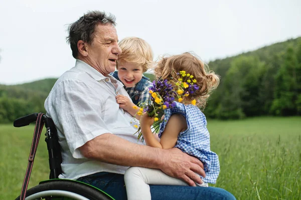 Small children with senior grandfather in wheelchair on a walk on meadow in nature. — Stock Photo, Image