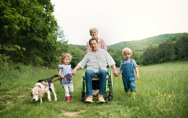 Small children with senior grandparents and dog on a walk on meadow in nature. — Stock Photo, Image