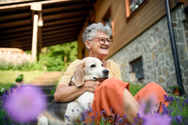 Porträtt av äldre kvinna med sällskapsdjur hund sitter utomhus i trädgården, avkopplande. — Stockfoto