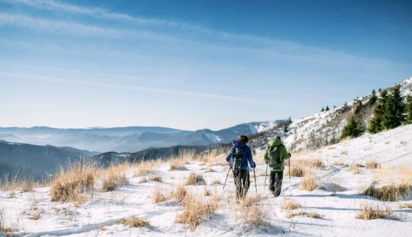 Vue arrière des randonneurs en couple âgés dans la nature hivernale enneigée, à pied. — Photo