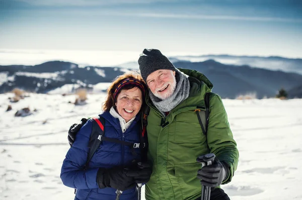 Oudere parenwandelaars met nordic walking stokken in de besneeuwde winternatuur. — Stockfoto