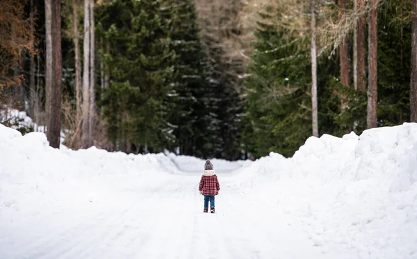 Vista trasera de una niña pequeña caminando por la carretera en invierno naturaleza. —  Fotos de Stock