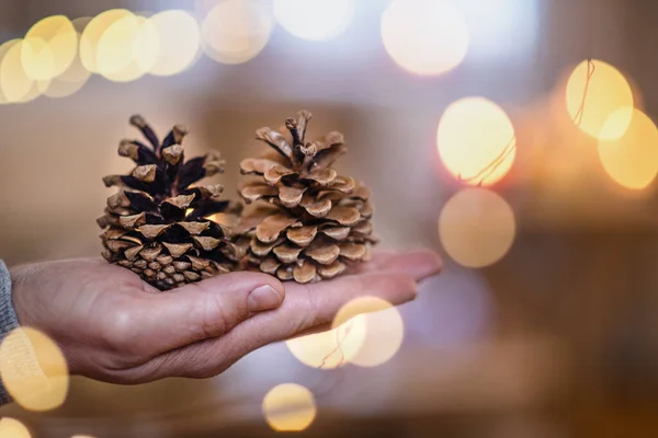 Közelkép az érett férfi kezét otthon karácsonykor, kezében fenyőtoboz. — Stock Fotó