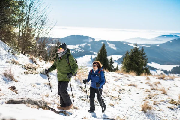 Casal sênior com pólos de caminhada nórdicos caminhadas na natureza de inverno coberta de neve. — Fotografia de Stock