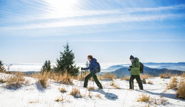 Karla kaplı kış doğasında yürüyüş yapan kuzeyli yürüyüş direkleri olan yaşlı çift.. — Stok fotoğraf