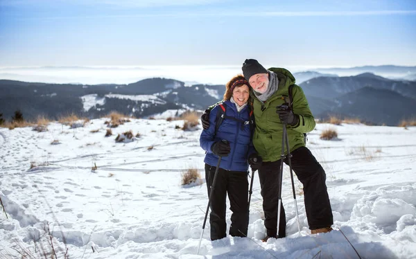 Senderistas de pareja con bastones nórdicos en la naturaleza invernal cubierta de nieve. — Foto de Stock