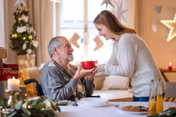 Young woman giving tea to senior grandfather in wheelchair indoors at home at Christmas.