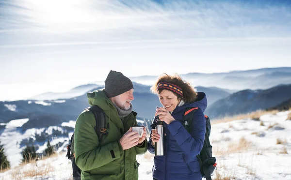 Seniorzy wędrowcy w zaśnieżonej zimowej naturze, pijący gorącą herbatę. — Zdjęcie stockowe
