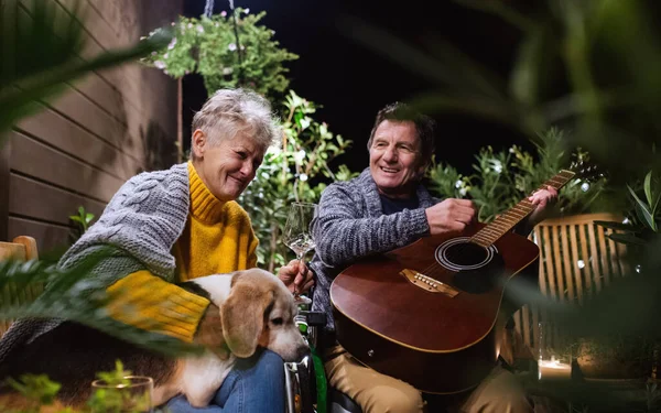 Pareja mayor en silla de ruedas con perro y guitarra por la noche en terraza. —  Fotos de Stock