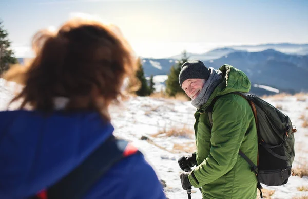 Seniorenpaar wandert mit Nordic-Walking-Stöcken in schneebedeckter Winternatur. — Stockfoto