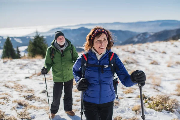 Casal sênior com pólos de caminhada nórdicos caminhadas na natureza de inverno coberta de neve. — Fotografia de Stock