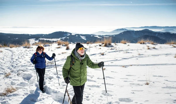 Äldre par med nordiska gångstavar vandrar i snötäckt vinternatur. — Stockfoto