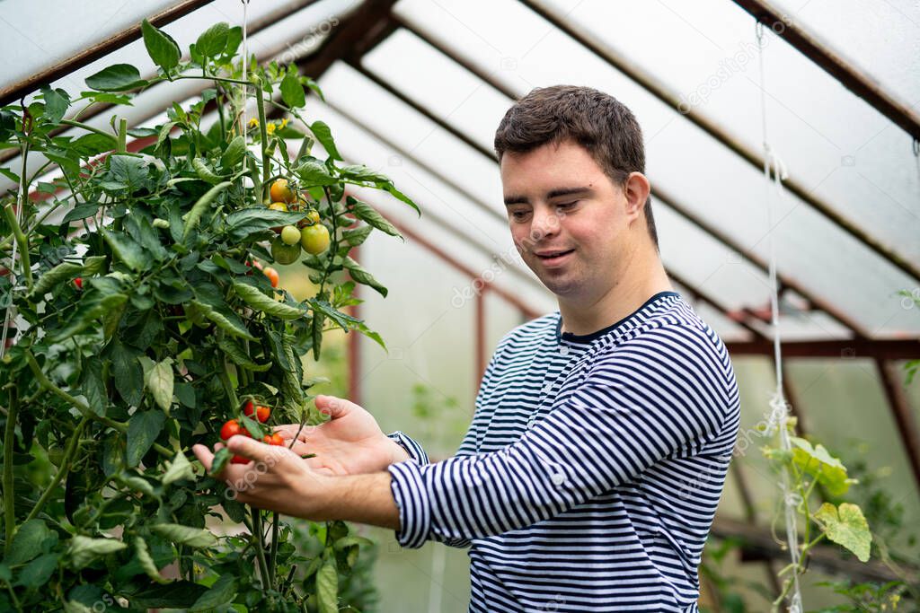 Down syndrome adult man standing in greenhouse, gardening concept.