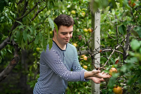 Ritratto della sindrome di Down uomo adulto in piedi all'aperto tra gli alberi da frutto. — Foto Stock