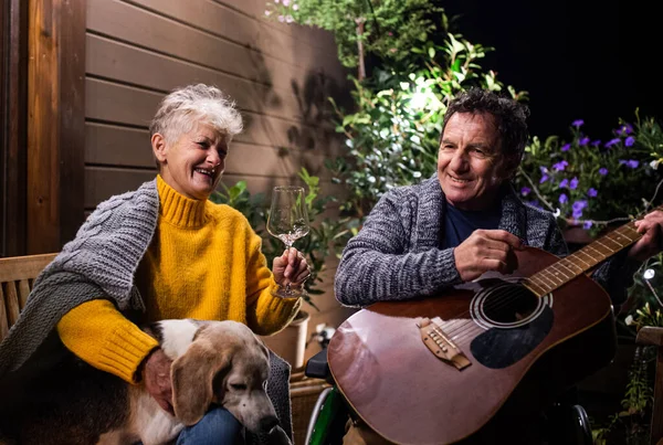 Pareja mayor en silla de ruedas con perro y guitarra por la noche en terraza. —  Fotos de Stock