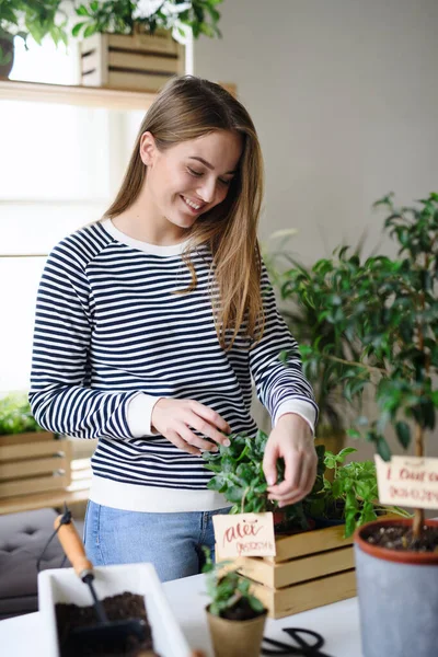 Mujer trabajando en casa, concepto de cuidado de plantas. Concepto de Coronavirus. — Foto de Stock