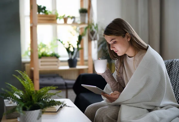 Jeune femme bouleversée enveloppée dans une couverture sur un canapé à la maison, en utilisant une tablette. — Photo
