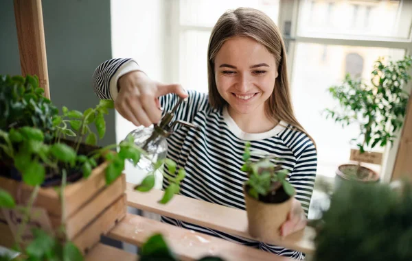 Mujer trabajando en casa, concepto de cuidado de plantas. Concepto de Coronavirus. — Foto de Stock