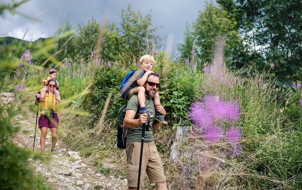 Rodina s malými dětmi pěší turistika venku v letní přírodě, chůze. — Stock fotografie