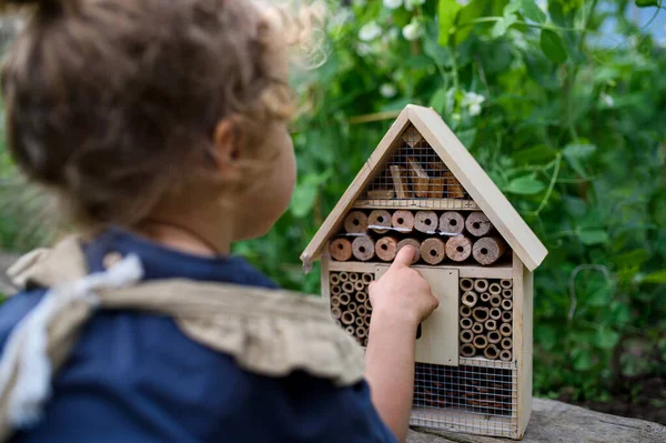 Вид спереду маленької дівчинки, що грає з готелем комах і жуків в саду, стійкий спосіб життя . — стокове фото