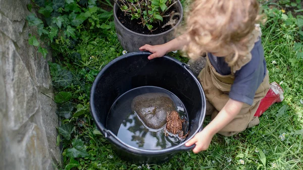 Vue du dessus de la petite fille jouant avec la grenouille à l'extérieur en été. — Photo