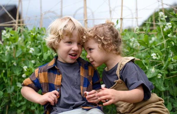 Portret dwójki małych dzieci w ogrodzie warzywnym, zrównoważony styl życia. — Zdjęcie stockowe