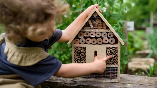 Vue arrière de la petite fille jouant avec les insectes et les insectes hôtel dans le jardin, mode de vie durable. — Photo