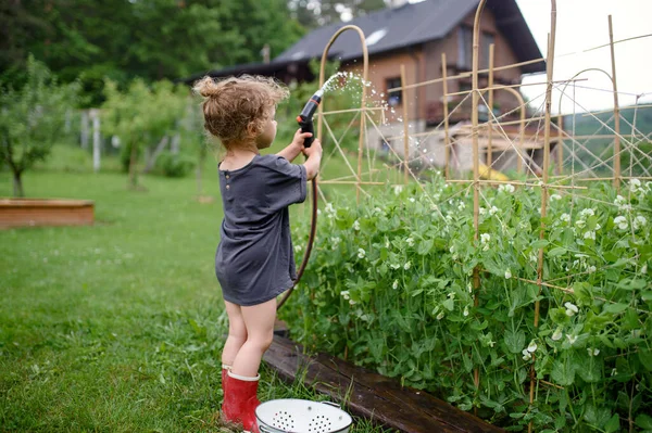 Sebze bahçesinde çalışan küçük bir kızın yan görünüşü, sürdürülebilir yaşam tarzı. — Stok fotoğraf