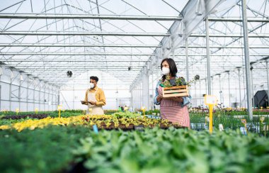 Bahçe merkezindeki serada çalışan insanlar, koronavirüs konsepti.