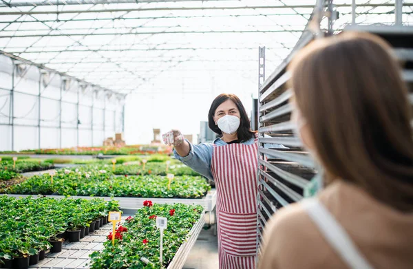 People working in greenhouse in garden center, coronavirus concept.