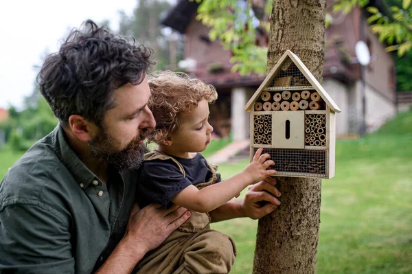 Malá holčička s otcem drží brouka a hmyz hotel v zahradě, udržitelný životní styl. — Stock fotografie
