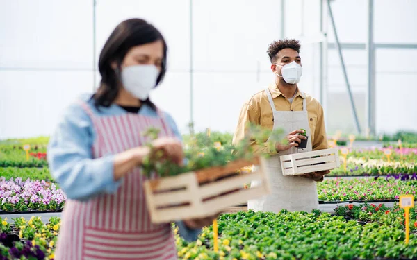 Personas que trabajan en invernadero en el centro de jardinería, concepto coronavirus. — Foto de Stock