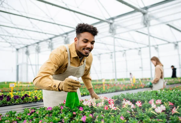 Hombre afroamericano joven trabajando en invernadero en centro de jardín. — Foto de Stock