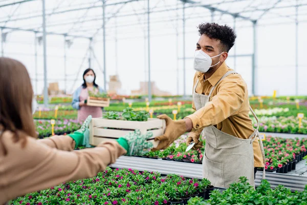 Personas que trabajan en invernadero en el centro de jardinería, tienda abierta después del cierre del coronavirus. — Foto de Stock