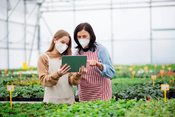 Mujeres con tabletas trabajando en invernadero en el centro de jardinería, concepto coronavirus. — Foto de Stock