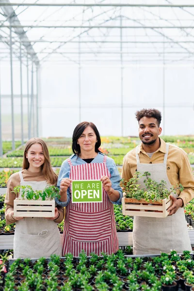 Retrato de personas que trabajan en invernadero en el centro de jardinería, tienda abierta después del cierre. — Foto de Stock