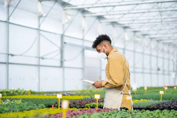 Joven afroamericano con portapapeles trabajando en invernadero, concepto coronavirus. — Foto de Stock