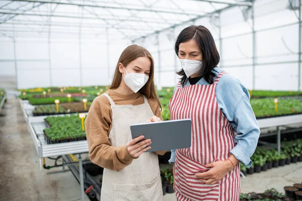 Women with tablet working in greenhouse in garden center, coronavirus concept. — Stock Photo, Image