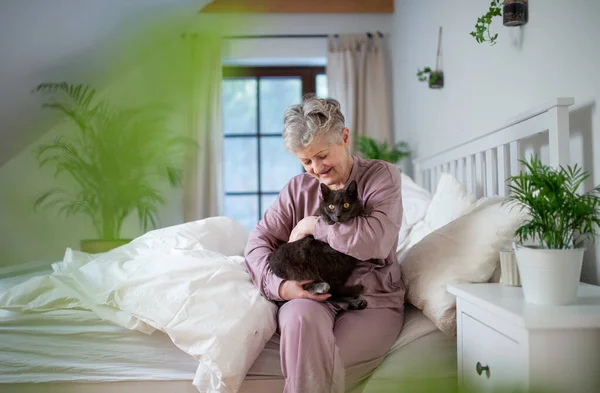 Szczęśliwa seniorka z kotem odpoczywającym w łóżku. — Zdjęcie stockowe