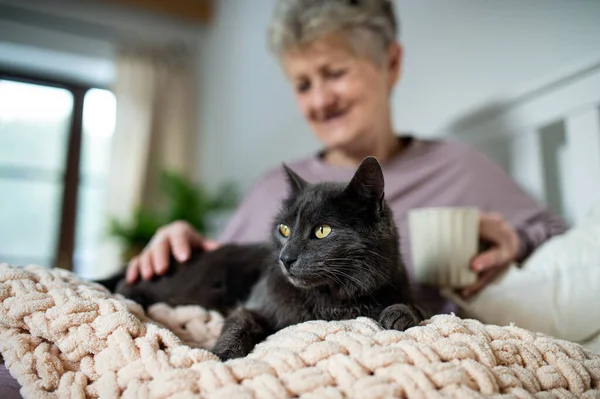 Šťastná starší žena s kočkou odpočívající v posteli doma. — Stock fotografie