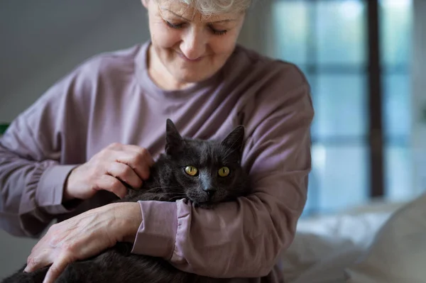 Happy senior woman with cat resting in bed at home. — Stock Photo, Image