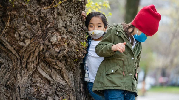 Маленькі діти, що стоять на дереві на відкритому повітрі в міському парку, навчаються груповій освіті та концепції коронавірусу . — стокове фото