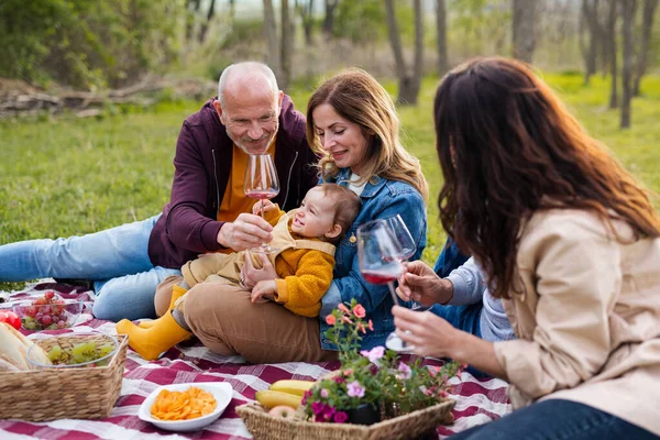 Happy multigeneration family outdoors having picnic in nature. — Stock Photo, Image