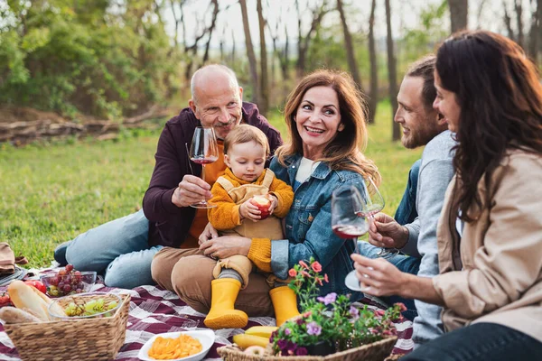 Happy multigenerace rodina venku mají piknik v přírodě. — Stock fotografie